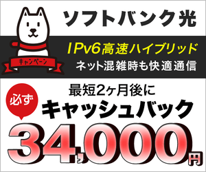 IPv6高速ハイブリッド