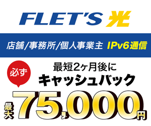 フレッツ光法人