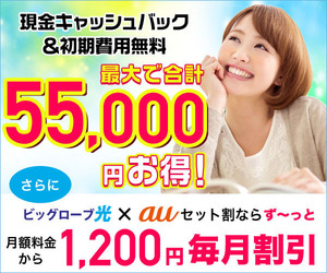 ビッグローブ光