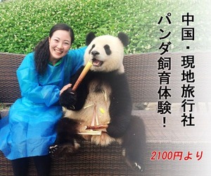 旅情中国