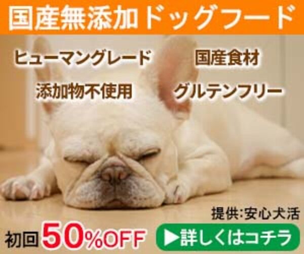 安心犬活
