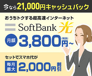 SoftBank-hikari.net