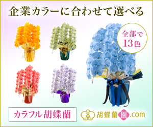 胡蝶蘭専門店「胡蝶蘭園.com」