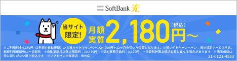 202103311224594160