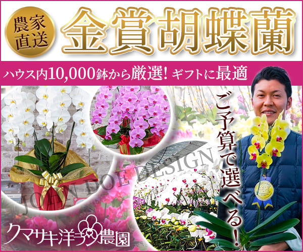 胡蝶蘭専門店『ランノハナドットコム(クマサキ洋ラン農園)