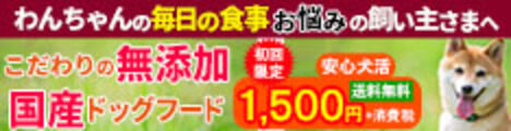 安心犬活