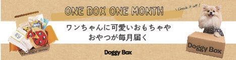 Doggy Box(ドギーボックス)