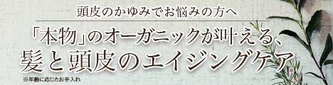 ドットエヌ