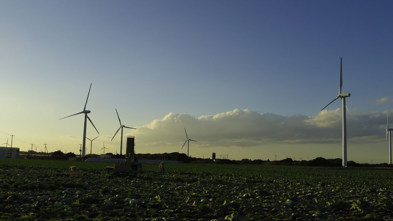 油絵　風車と人 Kyoto National Museum KNM Collection Database