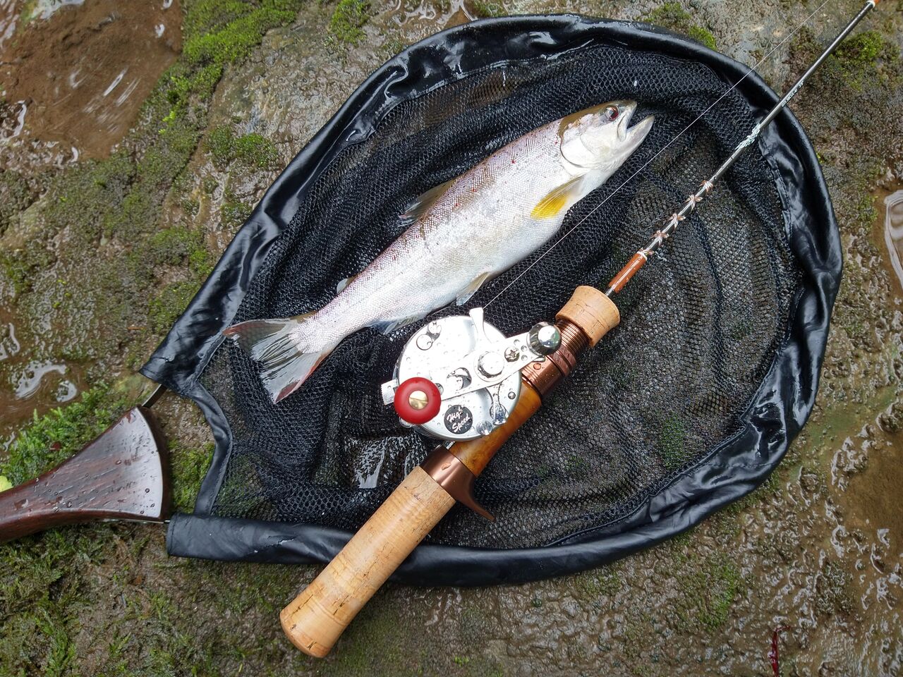 ティムコ フェンウィック GFS38CUL-4J フェンウィック GFS38CUL-4J