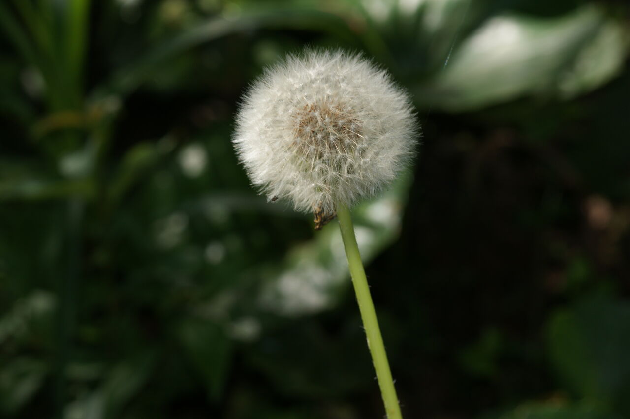 あかずの間のページ:「ぬすむ」「だます」って、いったいなんだろう?