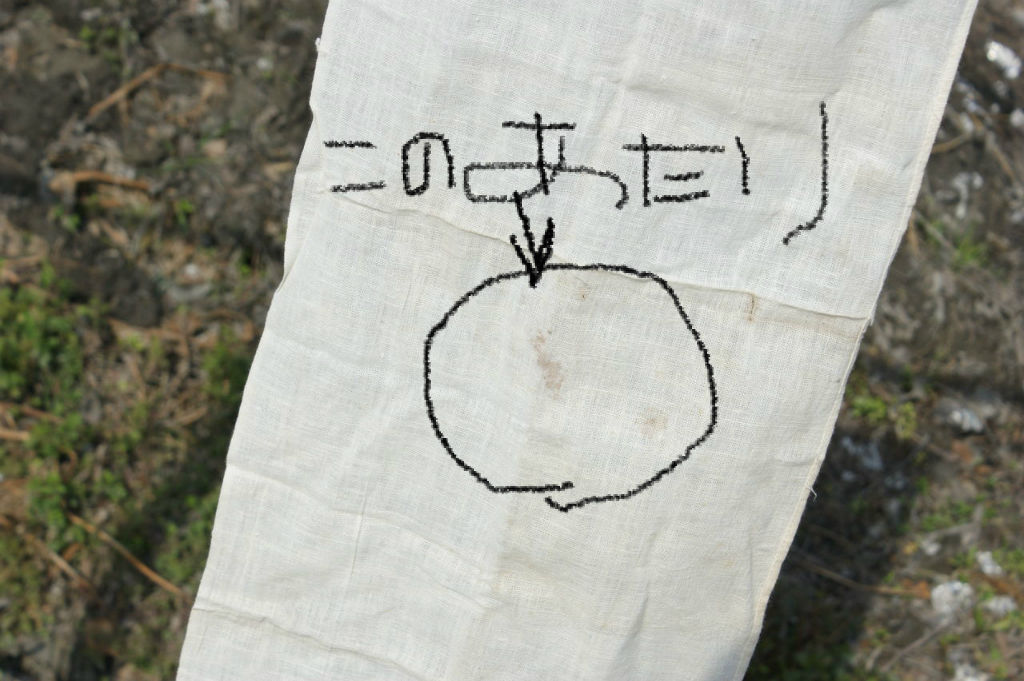 あかずの間のページ弱い者に高飛車に、、強い者にへつらう・・そんな生き方だけはするなよ、、の巻