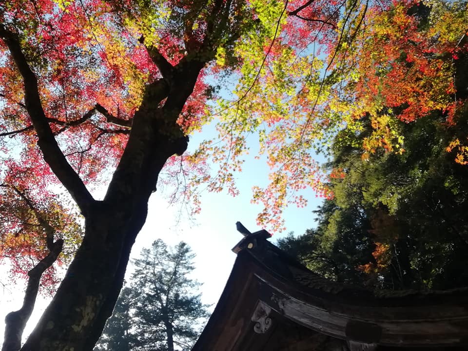 ふたたび この曲の歌詞にもどる あかずの間のページ