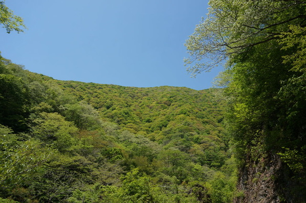 DSC01853