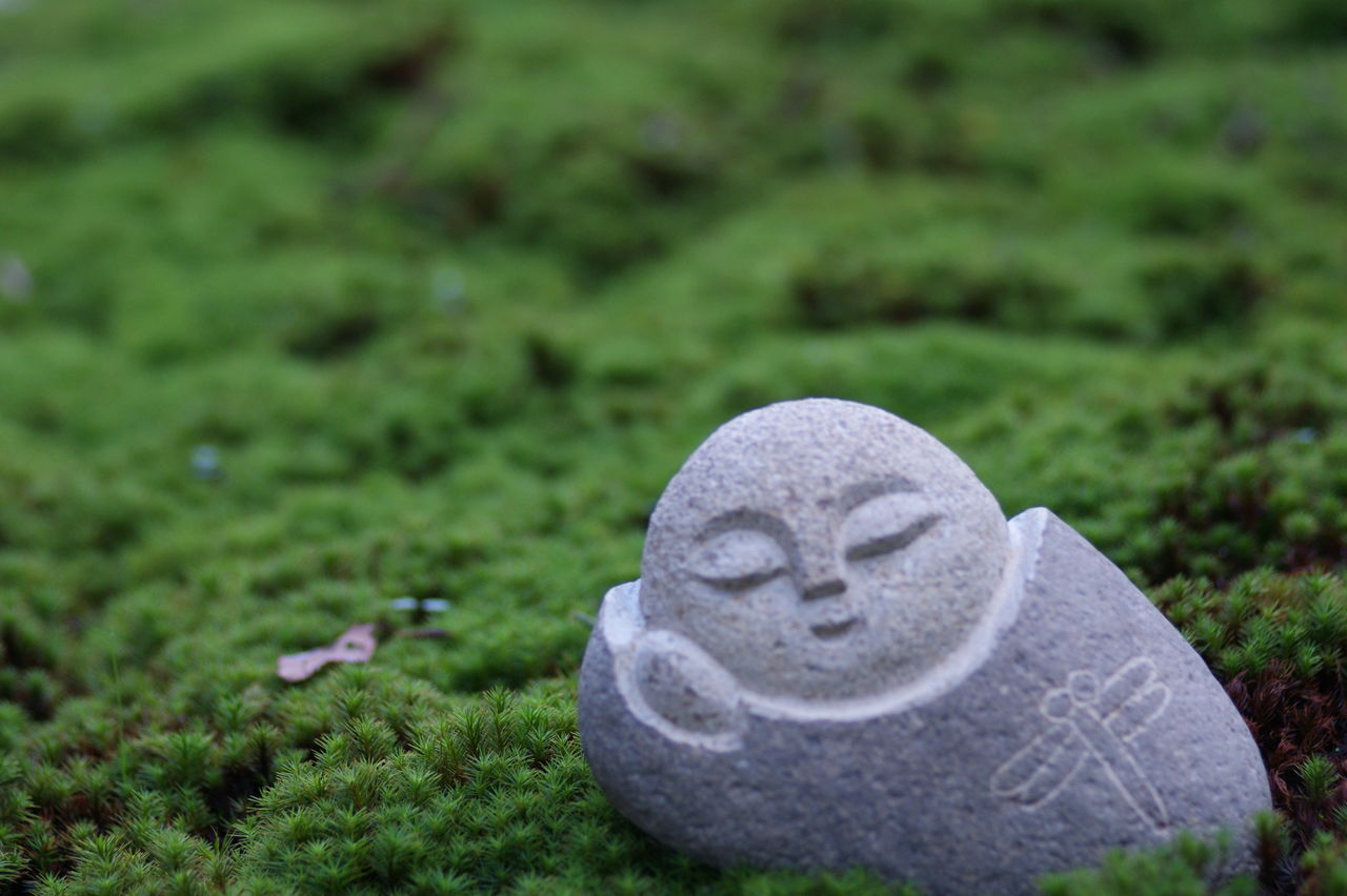 首くくりの足を引く あかずの間のページ