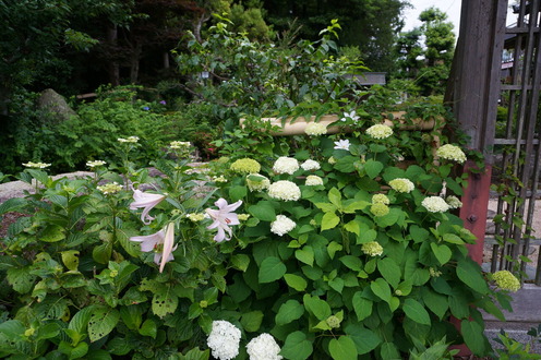 DSC03778