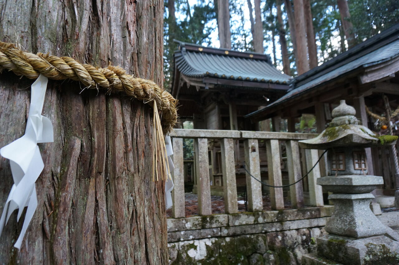 あかずの間のページ:やなぎでありたいよなぁ、、と思う