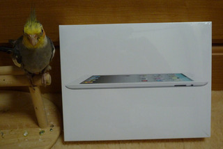 iPad2