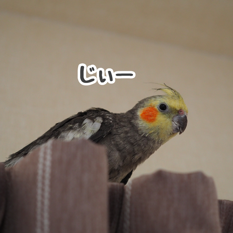緊張したニュー New ユニブログ 緊張したニュー New ユニブログ