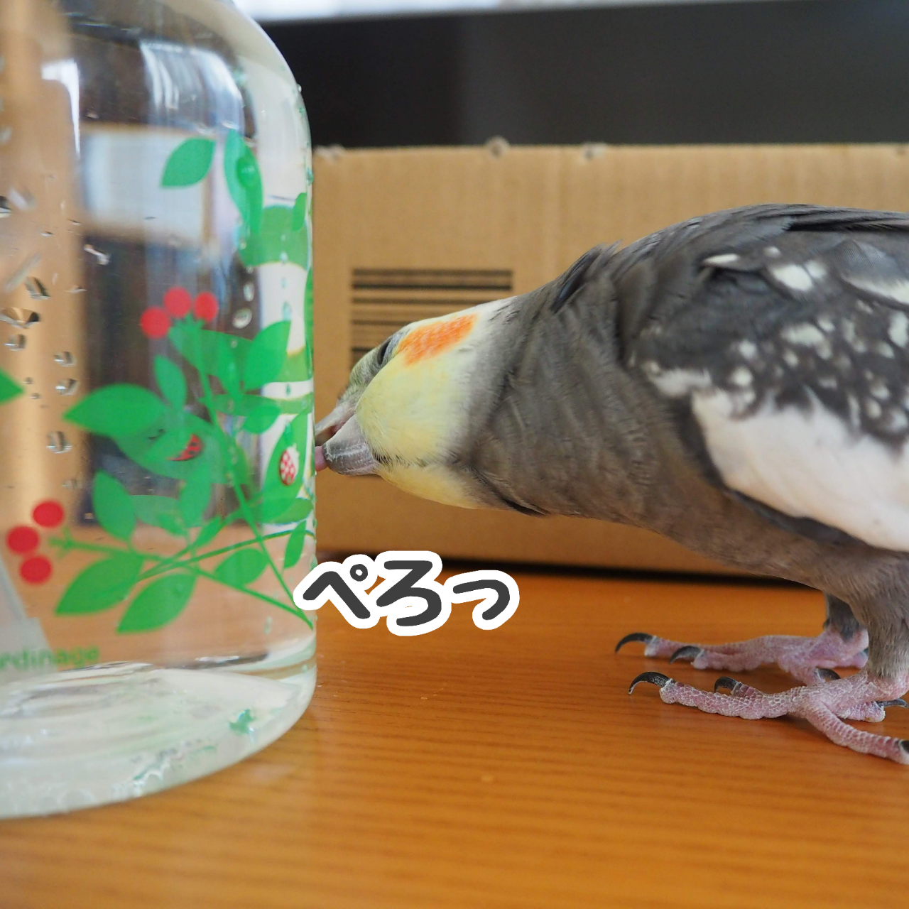 ニューの給水場所 New ユニブログ