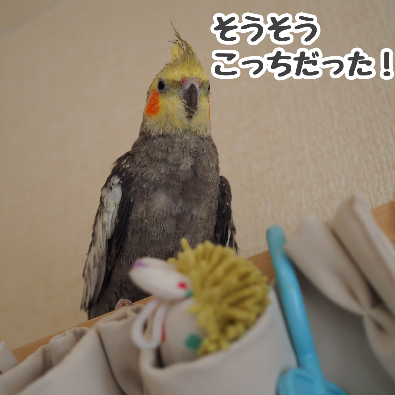 緊張したニュー New ユニブログ 緊張したニュー New ユニブログ