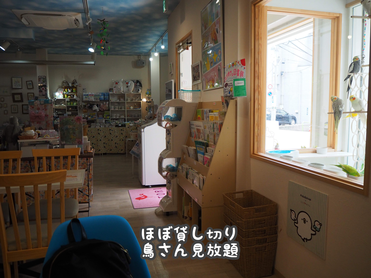ことりカフェ上野本店に行ってきました New ユニブログ