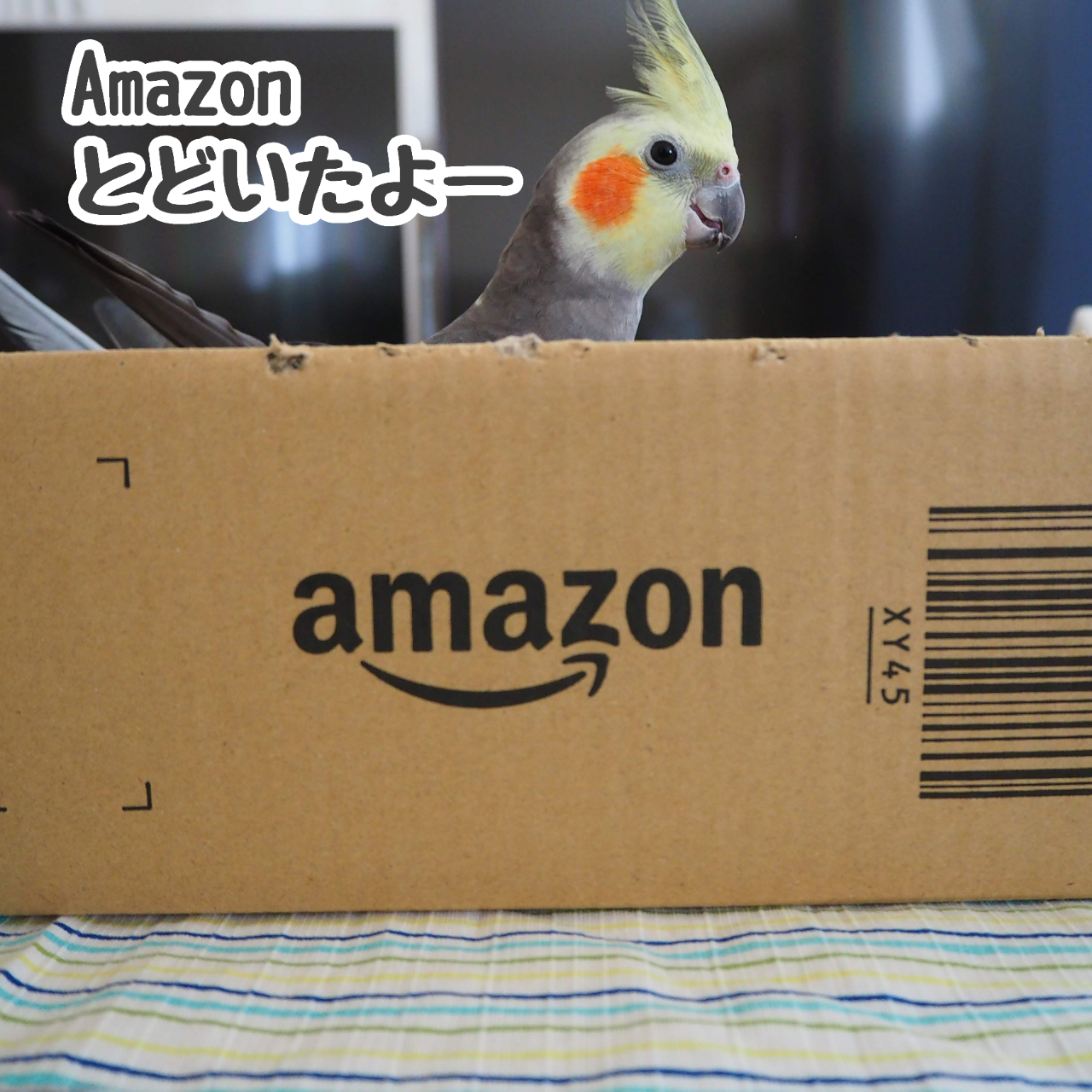 ニューとamazonの関係 New ユニブログ