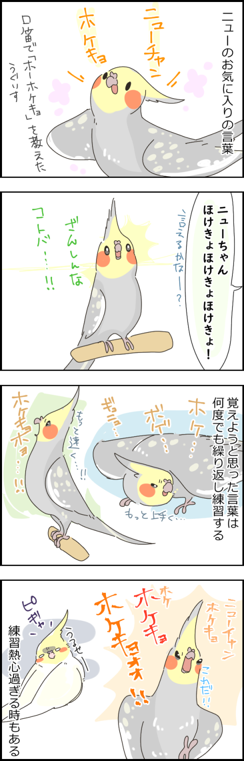 ニューの好きな言葉 New ユニブログ ニューの好きな言葉 New ユニブログ