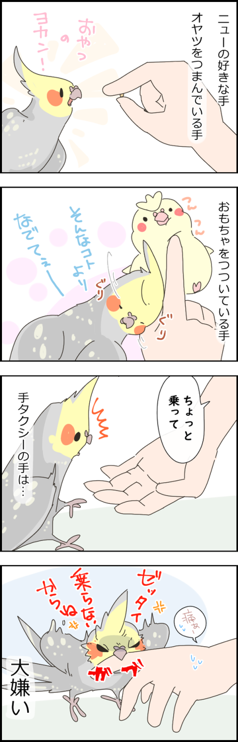 20201125