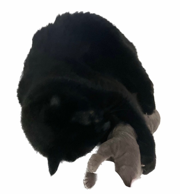 o1080116315315219226