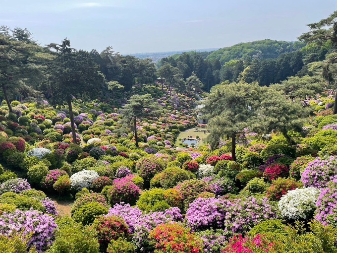 o1080081015276264183