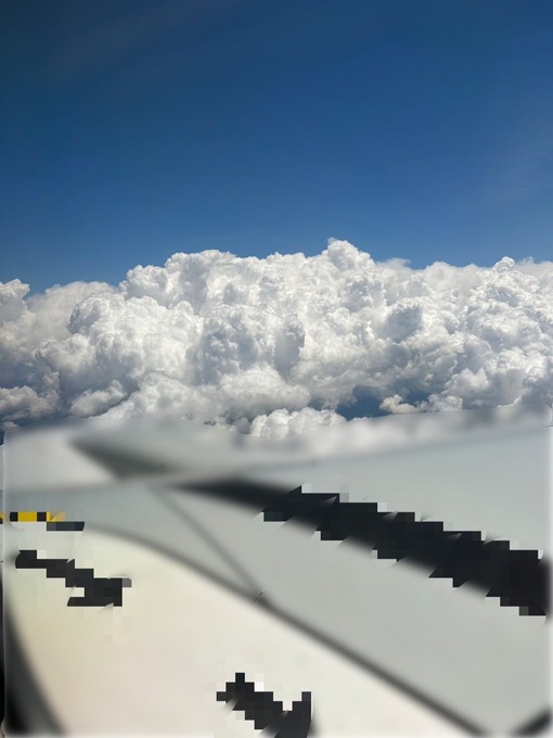 o1080144015292599187