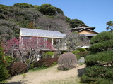 0524ab6e.jpg