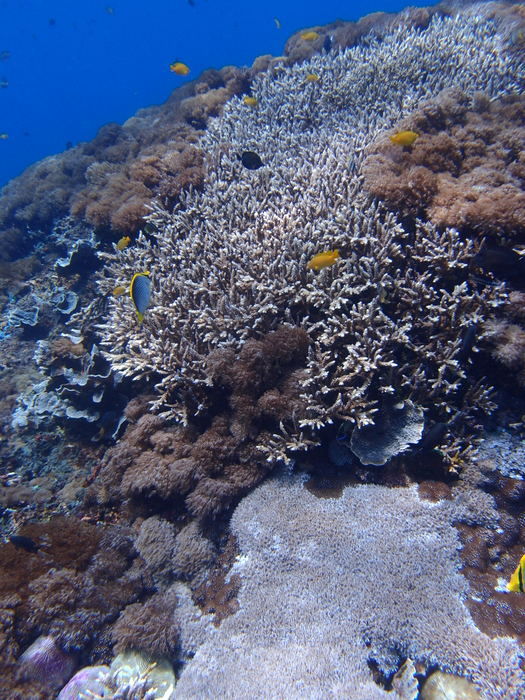 PB090150