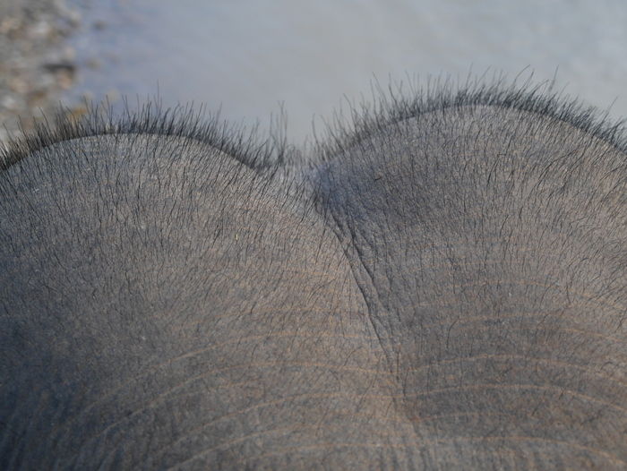 P1760144