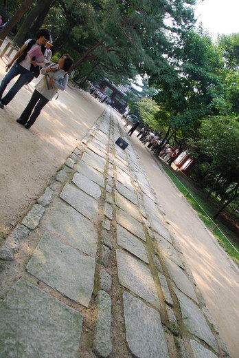 08c2838f.jpg