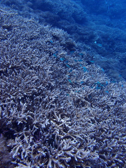 PB090128