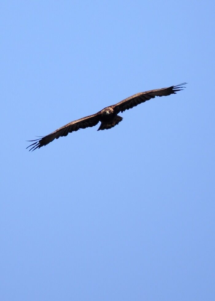 IMG_5866