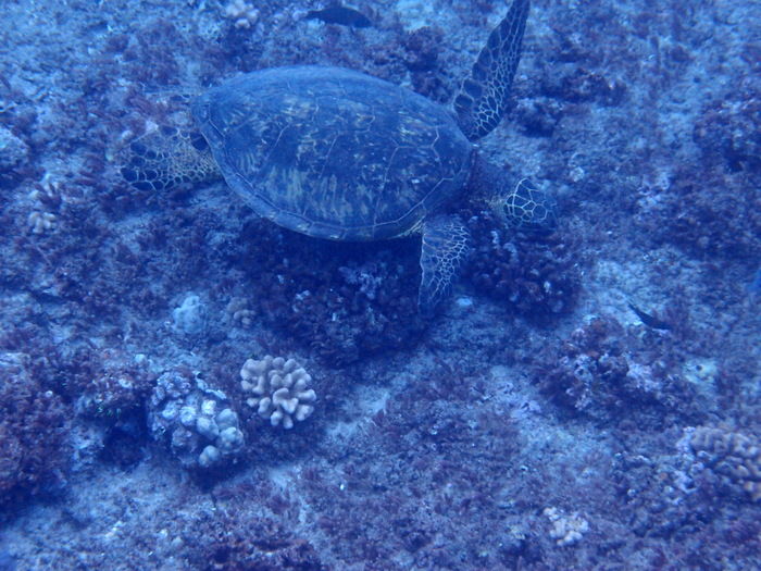 P3121708