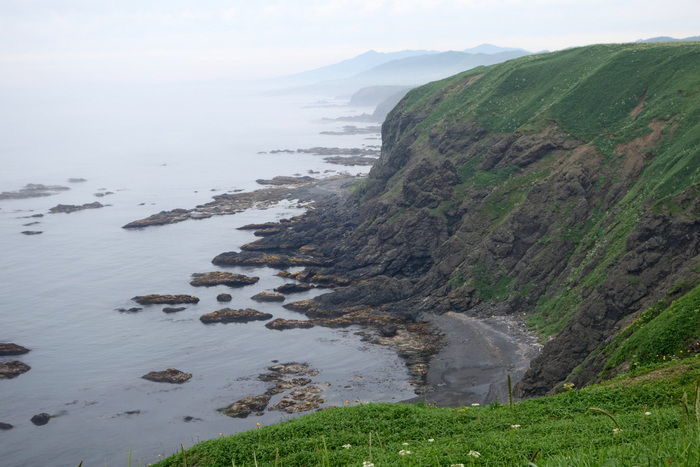 DSC06061