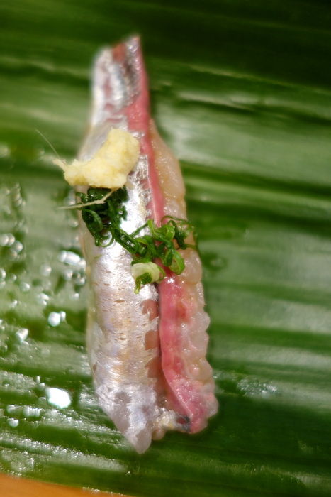 DSC04854