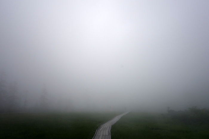 DSC06603