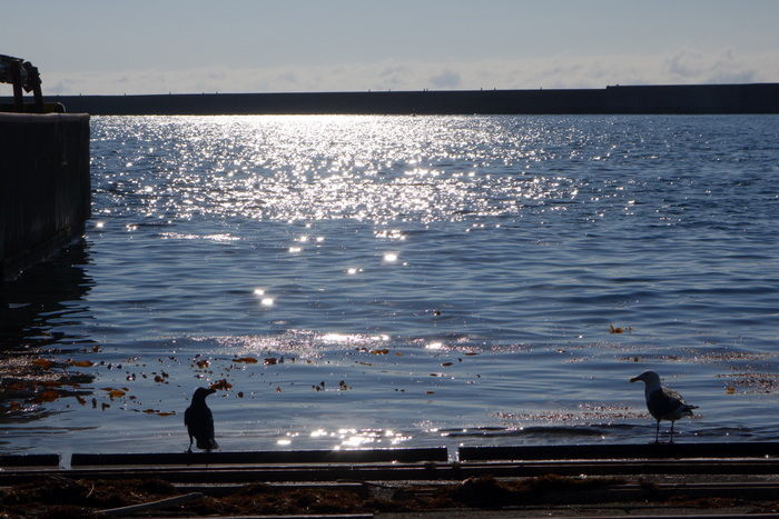 DSC05020