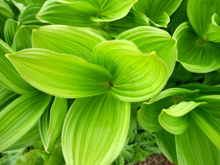 P1050087