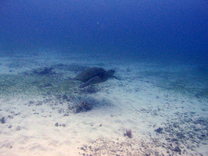 P3091467