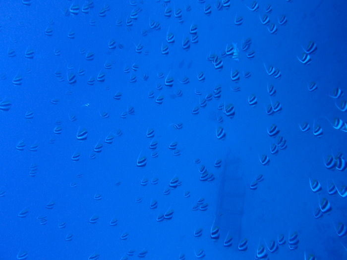 P3091442
