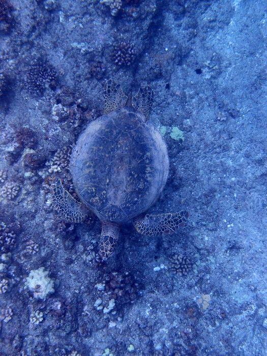 P3121769