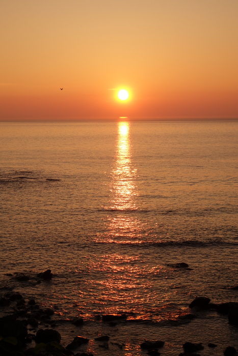 DSC05285