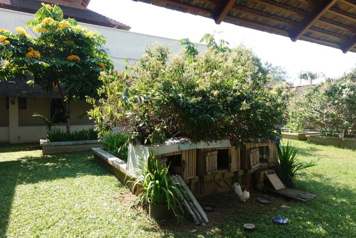 DSC07059