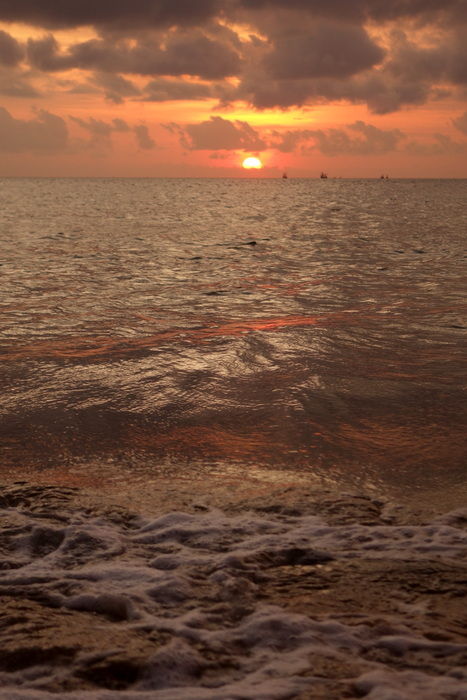 DSC01175